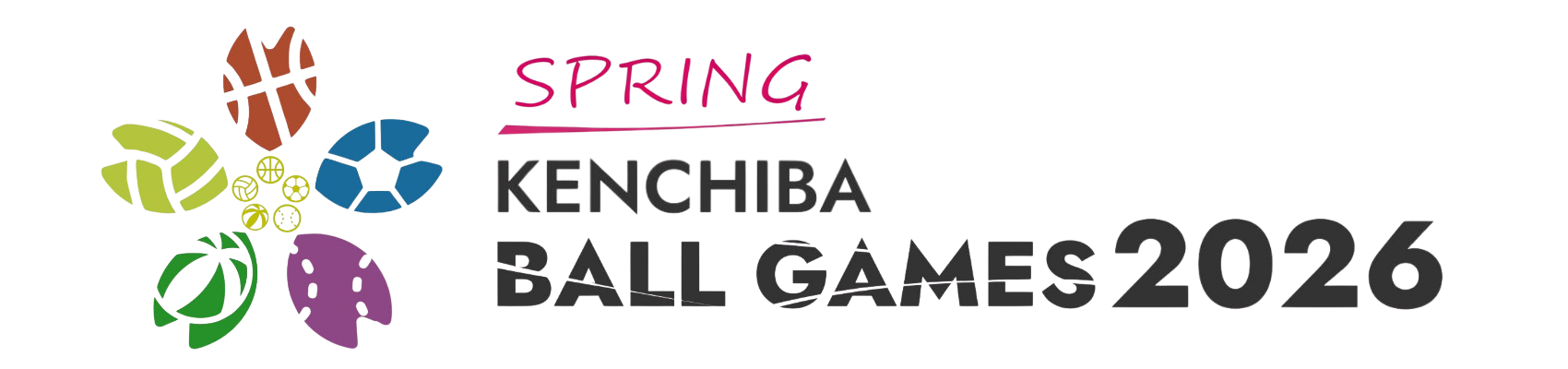 春季球技大会｜体育大会実行委員会【公式】